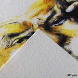دفتر رسم كانسون 224 غم سلك Ca grain